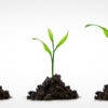 employer branding